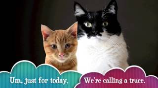 Mothers Day Truce