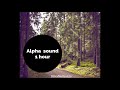 Alpha sound 7 and 14 hz  1 hour  the silva method ireland