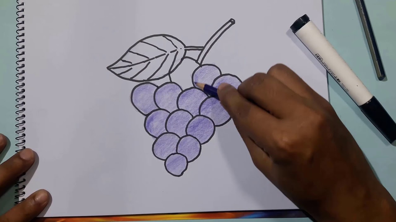 How to Draw Grapes Step by Step For Beginners - Easy Drawing for Kids ...