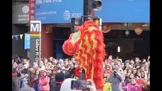 华盛顿中国城游行庆祝农历新年