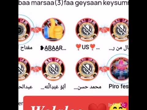 Walaloo Kutaa 66faa Masha Allah Waa Heduu Iraa Baratamaa