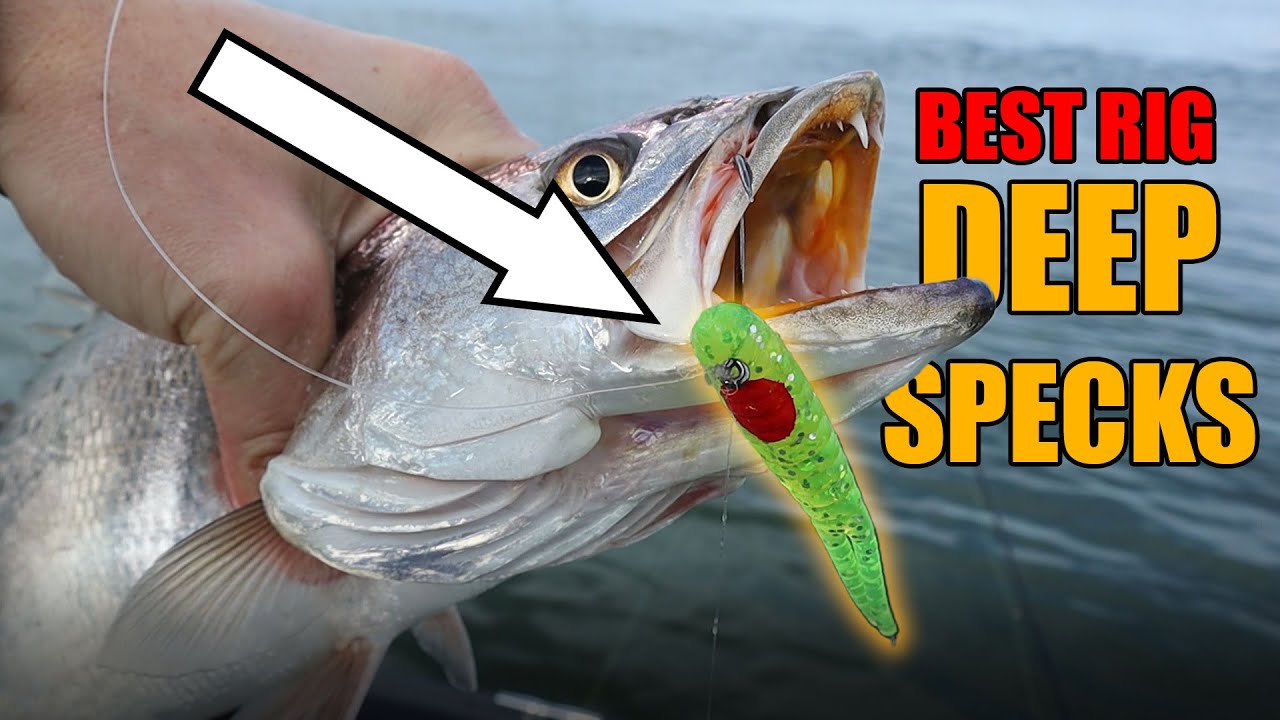 The Best Rig For Deep Speckled Trout: The Heavy Drop Shot 