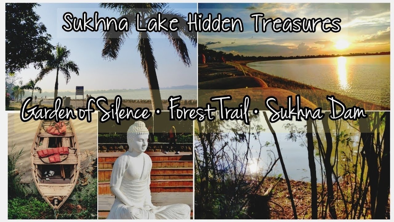 Sukhna Lake Chandigarh Part 2 Garden Of Silence Forest Trail sukhna-lake-chandigarh-part-2-garden-of-silence-forest-trail