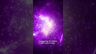 Black Holes Outlive Stars