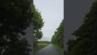#nature #relax#آرامش #طبیعت #جاده #shortvideo        🌿🌿😉🌿🌿