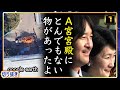 【悲報】A宮家を衛星から眺めるととんでもないものがありました【切り抜き】