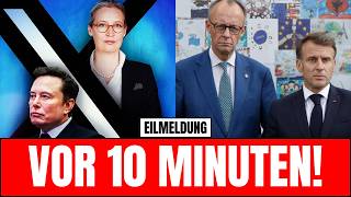 AfD-Verbot verschwunden? Die Wahrheit dahinter wird euch überraschen
