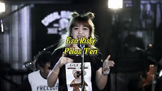 Story WA 30 Detik || Pelas Teri - Esa Risty