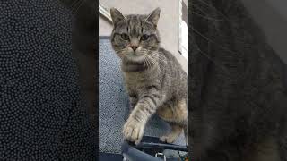 Marslı 👽 İyti 👾 Dumanı 🐈‍⬛ Işınlandı 😮 Abone Beğen Destek Ol Şfet