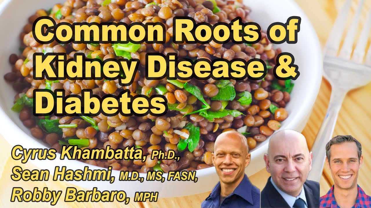 Common Roots of Kidney Disease and Diabetes with Cyrus Khambatta, Sean ...