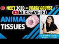 Animal Tissue Class 11 One Shot and MCQs | NEET 2020 Preparation | NEET Biology | Garima Goel
