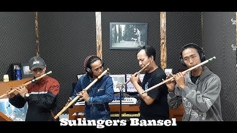 menjelma petir (Instrument Cover) - Sulinger