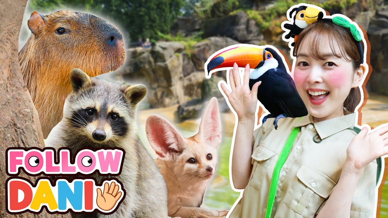 어린이 유튜브 틀어줘 🌟🎬 Follow DANI 🧸  동물친구들을 만나러 주렁주렁 실내동물원에 가요 [다니유치원]
