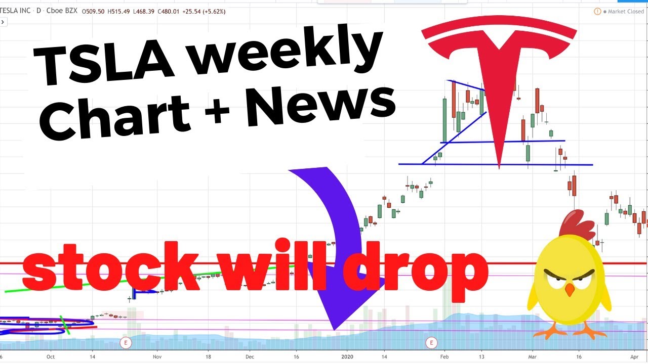 TSLA Weekly Analysis | Tesla Stock | China Deliveries