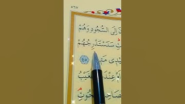 سورة القلم الأية 43 إلى 48 بصوت سعد الغامدي