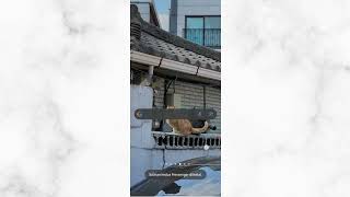 Dua Cara Menggandakan Aplikasi Messenger screenshot 3