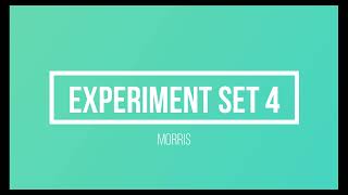 Experiment Set 4: Generate Association Rules from Selected Attributes