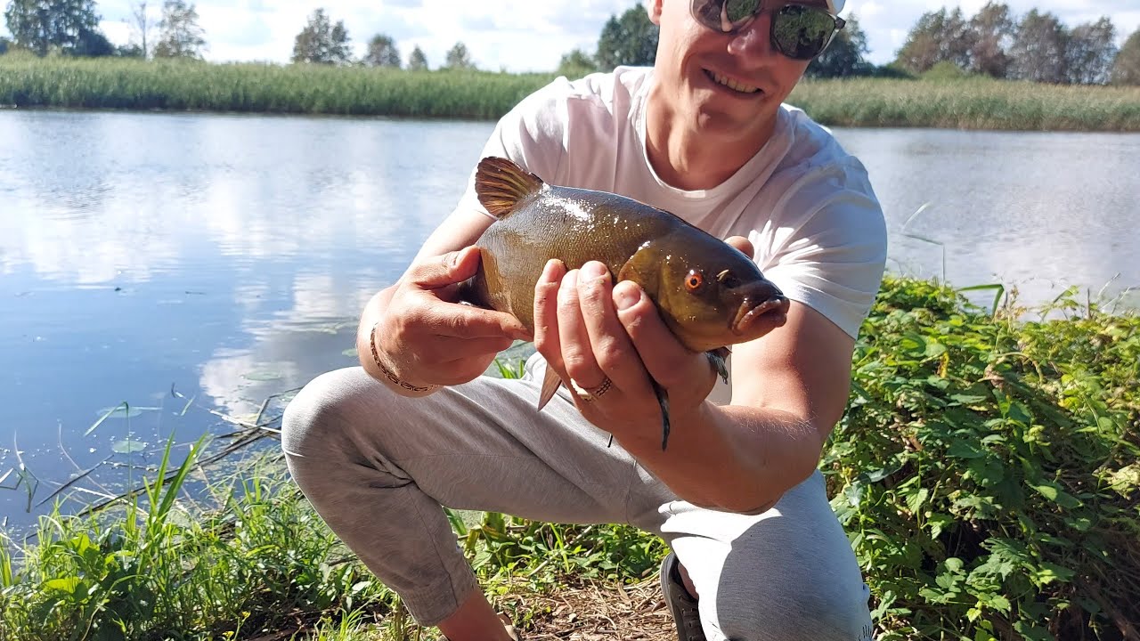 Kas kimba vidurdienį?🎣 Lynų ir karosų paieškos feederiu || NEI ŽVYNO