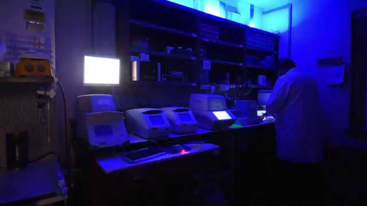 LED Lighting in Our PCR Lab - YouTube