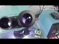 Let's see how to distinguish the true field of view of the microscope eyepiece 🧐🧐
