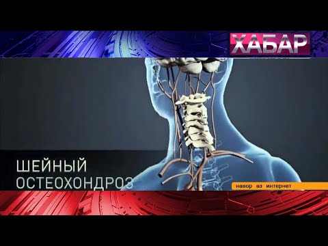 Камҳаракатӣ боиси пайдоиши намак дар организм .// Малоподвижный образ жизни приводит к остехондрозу.