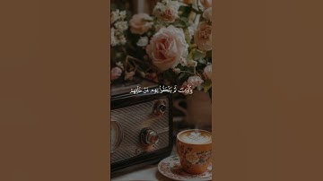 تلاوة تسكن القلب 💔😌الشيخ محمد صديق المنشاوي #راحه #المنشاوي #القران_الكريم_راحه_نفسية