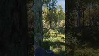 Half albinism | #shorts #gaming #gameplay #games #videogames #pcgaming #hunting #videogaming #cotw