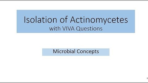 Isolation of Actinomycetes with viva question | MSc Practical Series | Actinobacteria | Microbiology