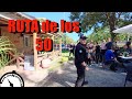 RUTA 50 con almuerzo