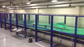 Plunging Wave Breaking