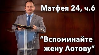 видео: 06.  картинка: 06.