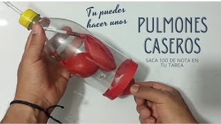cómo hacer PULMONES caseros con globos y una botella plástica maqueta que  respira de verdad - YouTube