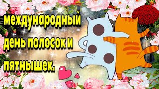 🌞😺💗24 февраля Международный День полосок и пятнышек😺💗Красивая музыкальная открытка