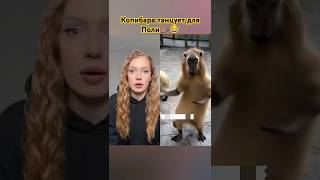 Копибара танцует для  Поли💯.Тренд -Брат😂🦫 #shortvideos #dance #shortvideo #short #shorts #копибара