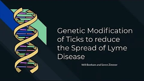 Lyme Disease and CRISPR by William Bonham and Soren Zimmer