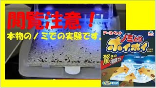 ノミとりホイホイ捕獲実験｜アース・ペット