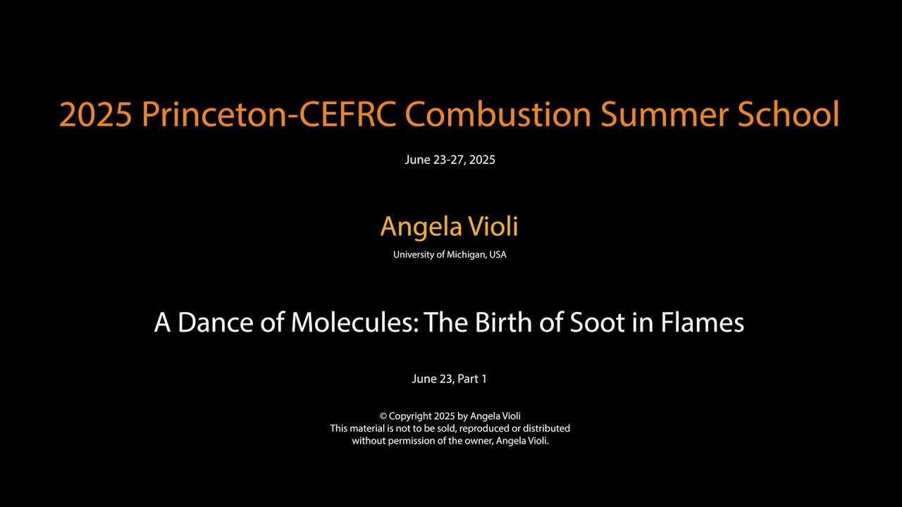 A Dance of Molecules: The Birth of Soot in Flames, Angela Violi, Day 1 Part 1