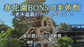 Japanese Garden Tokyo 春花園盆栽美術館の庭 東京 Youtube