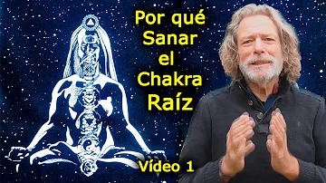 ¿Qué debo comer para el chakra raíz?