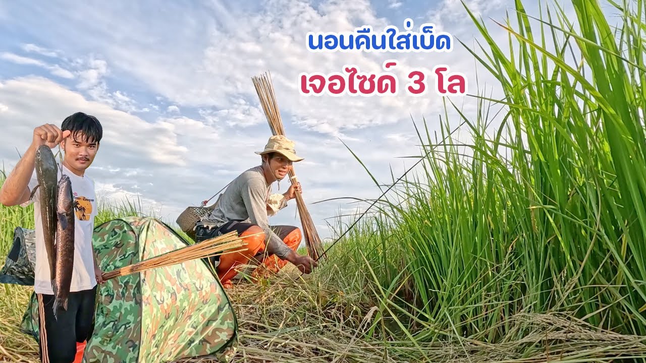 ตั้งแคมป์ใส่เบ็ดนอนคืน เจอไซด์ 3 โล ตั้งแต่ตัวแรก