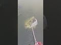 menangkap ikan dengan mudah#shorts#ikan#memancing
