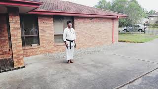 Nicho Sai - Ryukyu Kobudo Ryukonkai