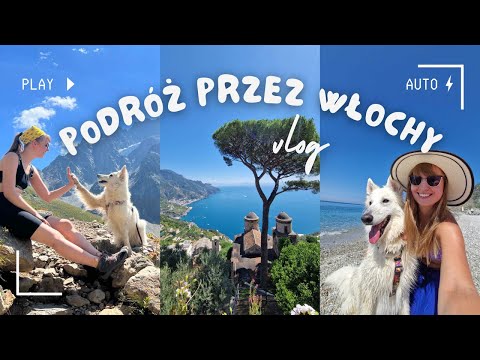 Wideo: Wskazówki dotyczące podróży z psami lub kotami do Włoch