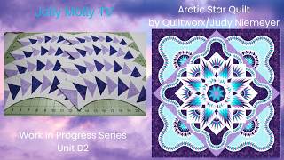 Arctic Star Quilt - Work in Progress Update #9 - Unit D2 - Judy Niemeyer Quiltworx
