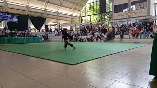 Kejuaraan festival pencak silat GPK cup 2019