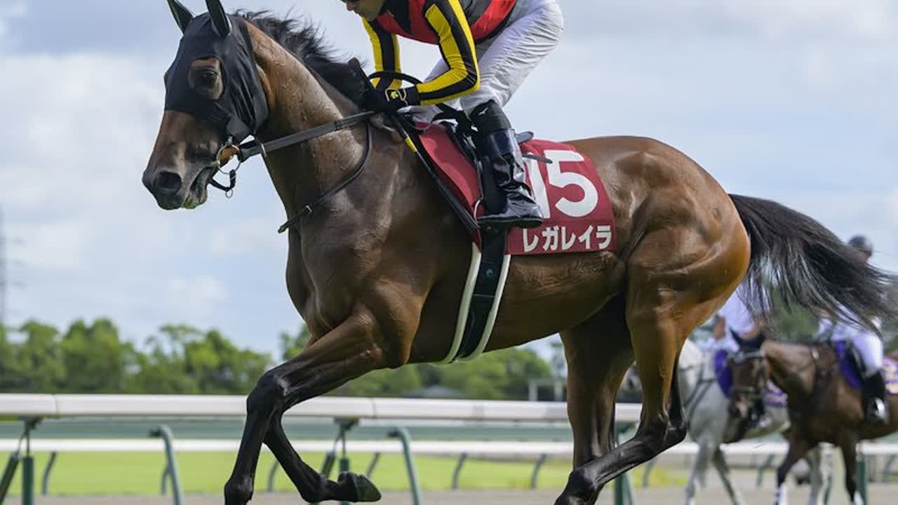 エリザベス女王杯2024】出走予定馬最速チェック 復活なるか? 3歳牝馬  