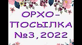 Орхидеи,узамба́рские фиалки,Самара🌺