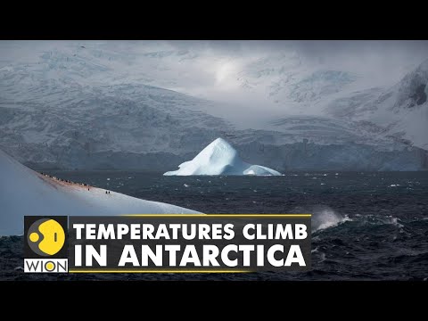 Temperatures soar by 30 degrees Celsius in Antarctica | WION Climate Tracker | World English News