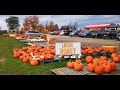 Pumpkin Festival --  Leahy&#39;s Farm and Market  农场南瓜节