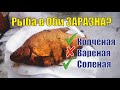 Анализ рыбы с Оби. Версия 2.0. КОПЧЕНАЯ, ВАРЕНАЯ, СОЛЕНАЯ. Результаты исследования.